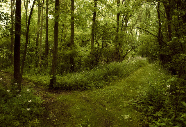 4704791057_eba5eee27b_z